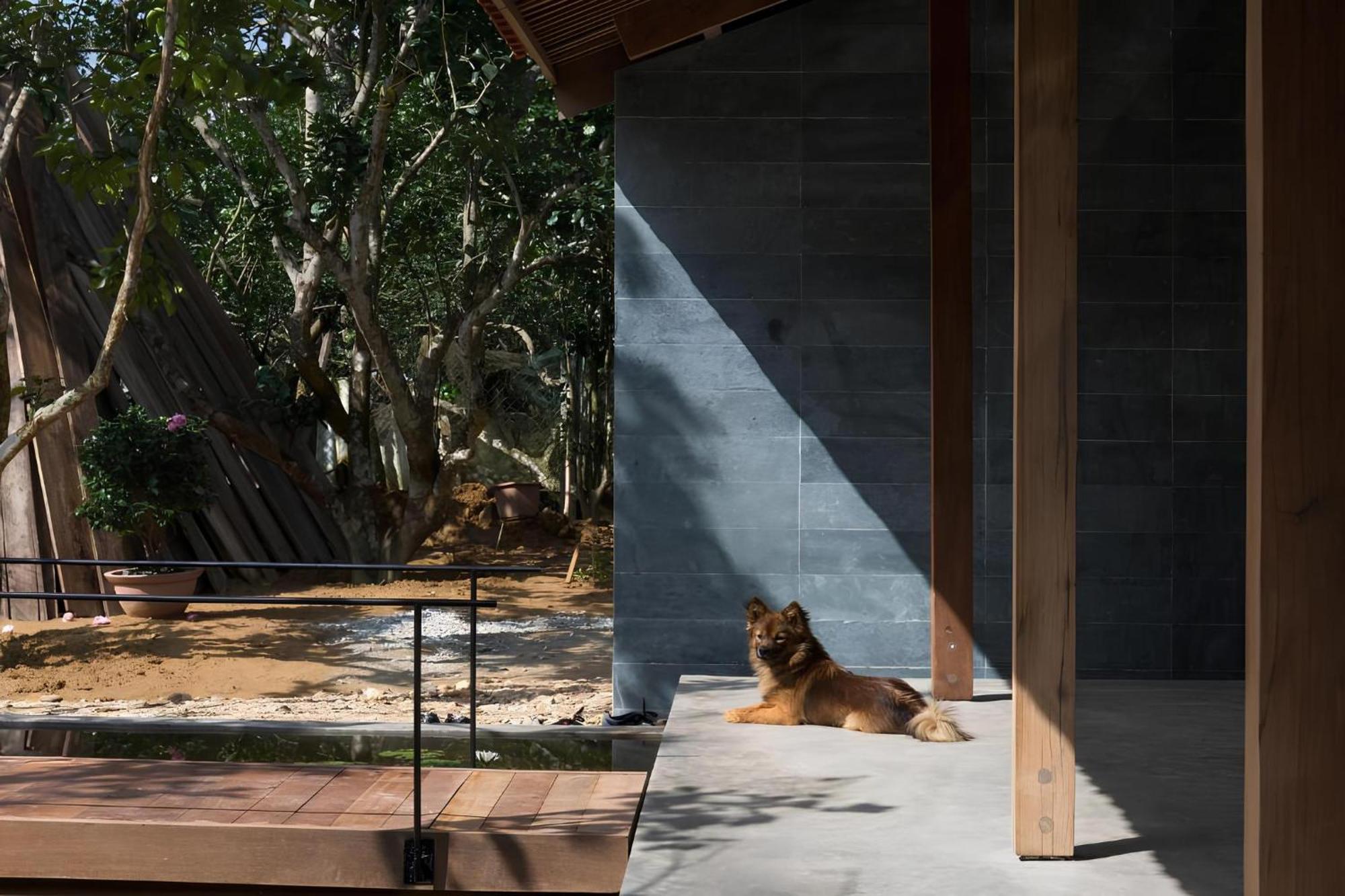 Hachi Homestay & Spa Хюэ Экстерьер фото